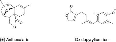 A concise total synthesis of (±)-anthecularin